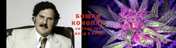 эйфоретик Горнозаводск
