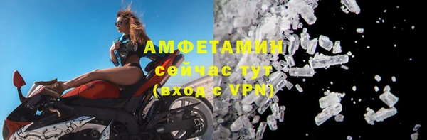 ECSTASY Горняк