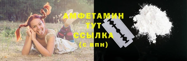 ECSTASY Горняк