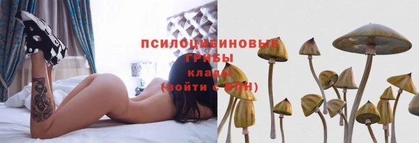 эйфоретик Горнозаводск