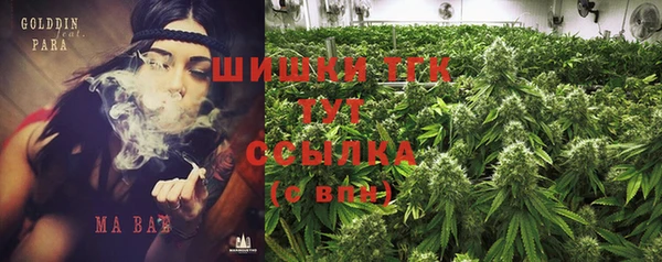 эйфоретик Горнозаводск