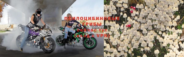 ECSTASY Горняк