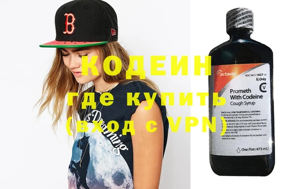 крисы Новозыбков