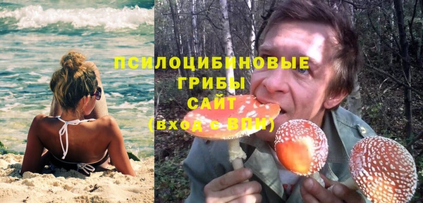 эйфоретик Горнозаводск