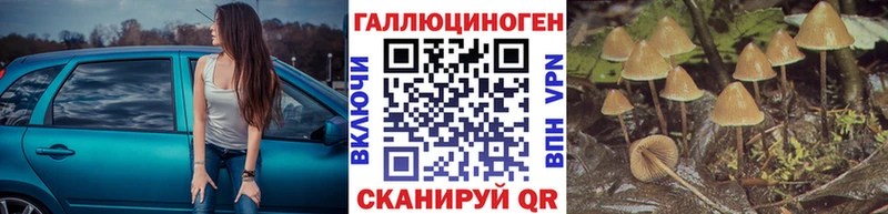 мега рабочий сайт  где найти наркотики  Зерноград  Галлюциногенные грибы прущие грибы 